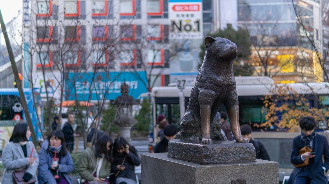 Ο πιο πιστός σκύλος της Ιαπωνίας γίνεται «100 ετών»