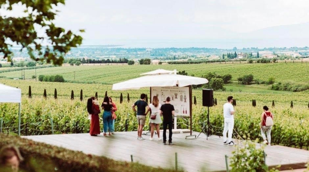 Παγκόσμια Ημέρα Οινοτουρισμού την Κυριακή 12 Νοεμβρίου και γνωστά οινοποιεία της χώρας ανοίγουν τις πόρτες τους στο κοινό 