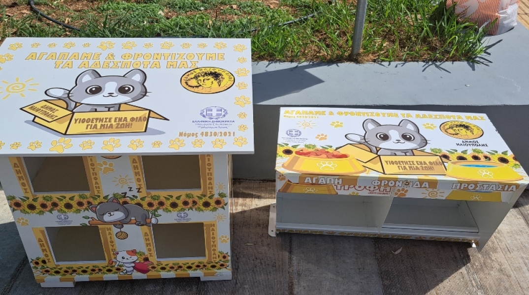 Αλυσίδα φροντίδας για τις αδέσποτες γατούλες της Ηλιούπολης