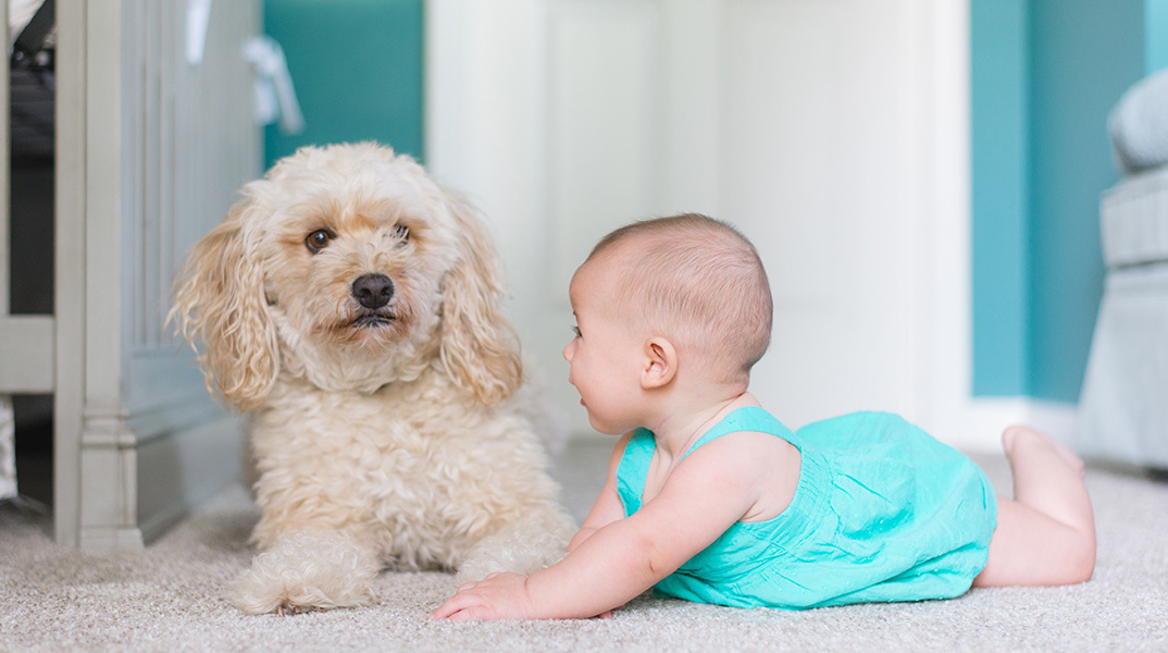 Τα 5 οφέλη για τα παιδιά που μεγαλώνουν μαζί με σκύλο