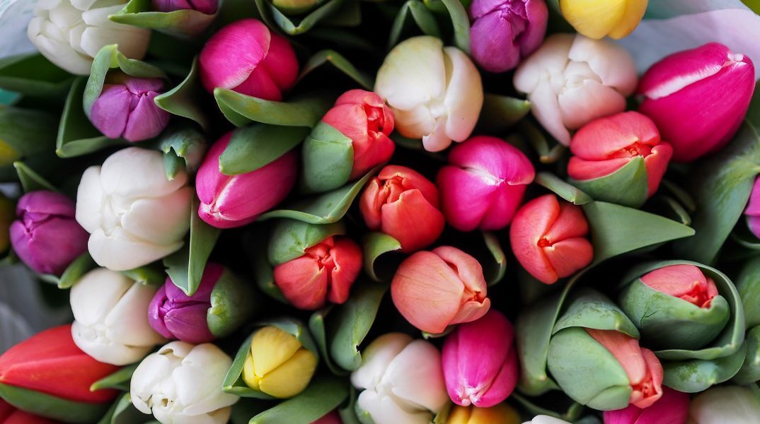 Εορτολόγιο: Σήμερα 16 Νοεμβρίου γιορτάζει…