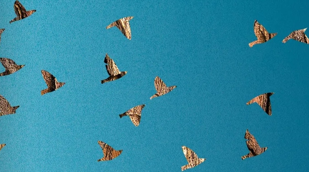 Για το μυθιστόρημα «Οι χαμένες μας καρδιές» της Celeste Ng (μετάφραση Μαρτίνα Ασκητοπούλου, 440 σελίδες, Εκδόσεις Μεταίχμιο)