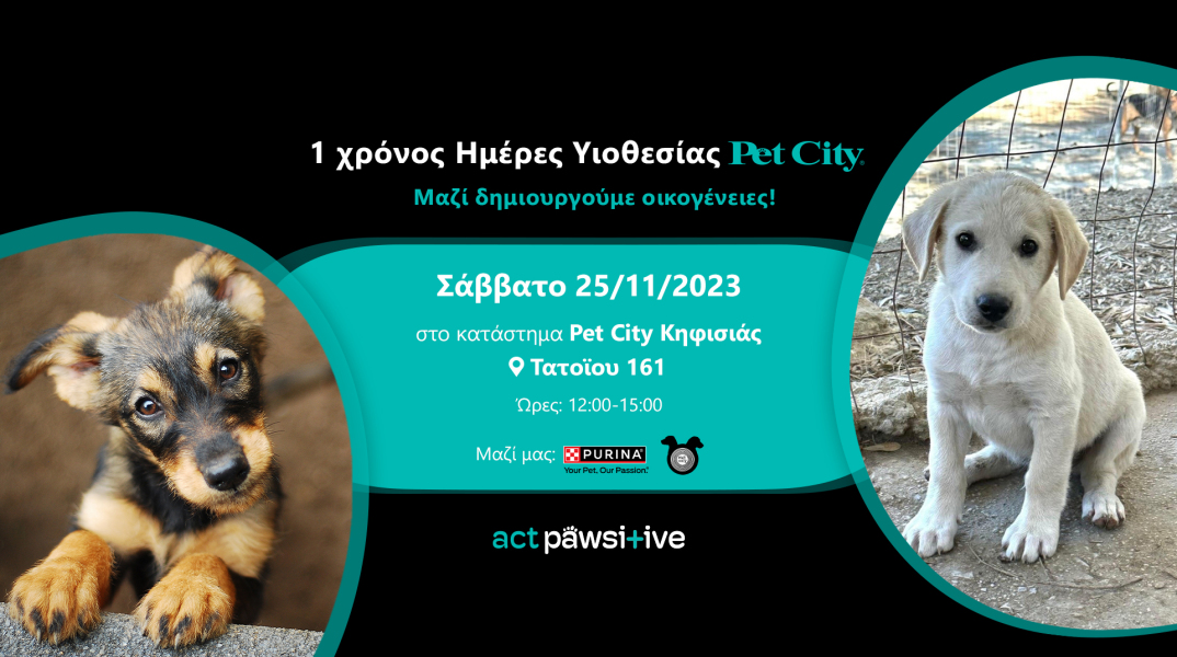 2023_11_20_pet_city_12th_adoption_day_kifisia