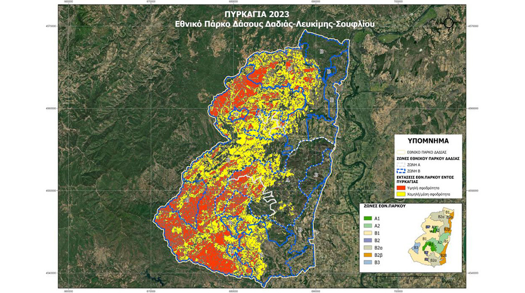 Συνέντευξη με τον Αριστοτέλη Παπαγεωργίου, Καθηγητή Μοριακής Βιολογίας και Γενετικής στο Δημοκρίτειο Πανεπιστήμιο Θράκης, για τη φωτιά στη Δαδιά