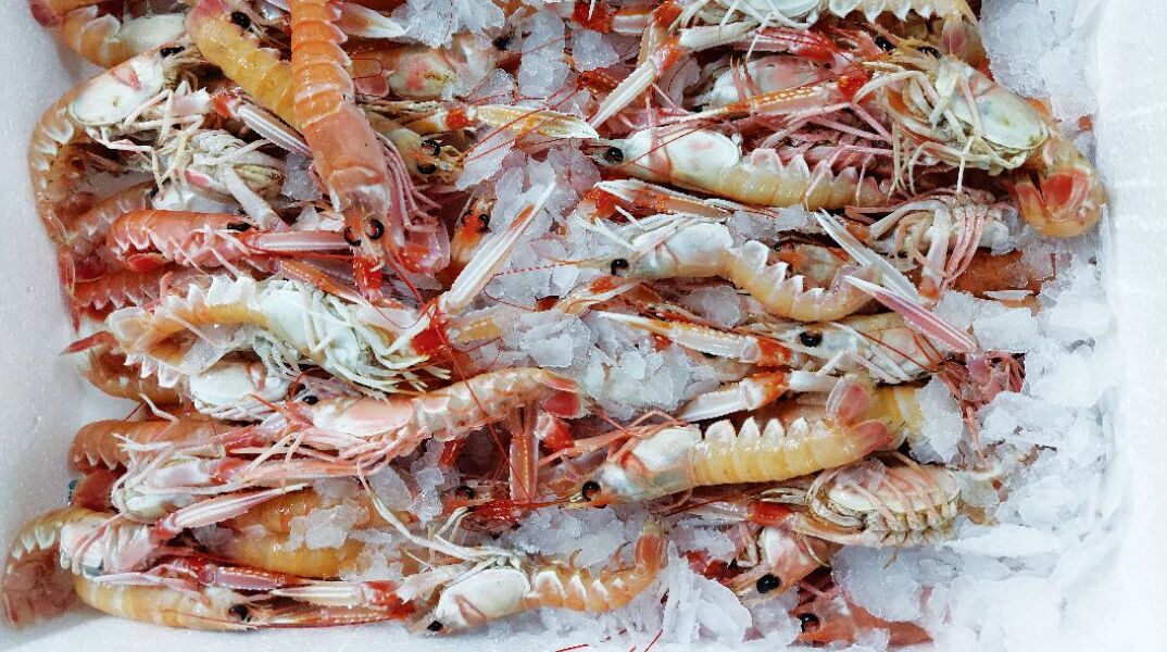 Ψ…art με θέα