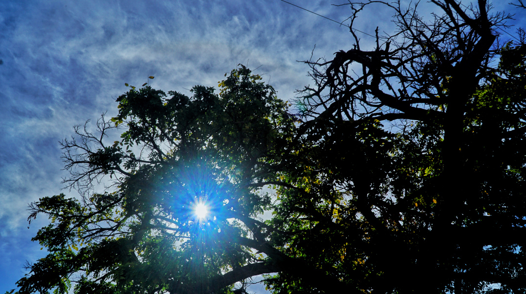 Ο θερμότερος Νοέμβριος τα τελευταία 15 χρόνια σε Θεσσαλία, Πελοπόννησο, Κρήτη και Νησιά Αιγαίου