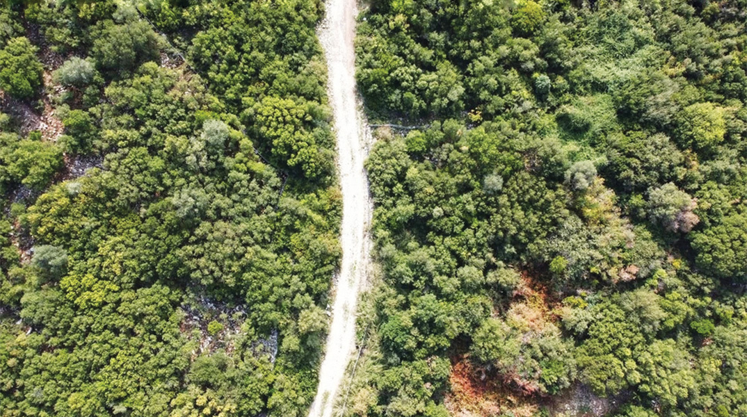 Φάρμα Λαφιωτάκη