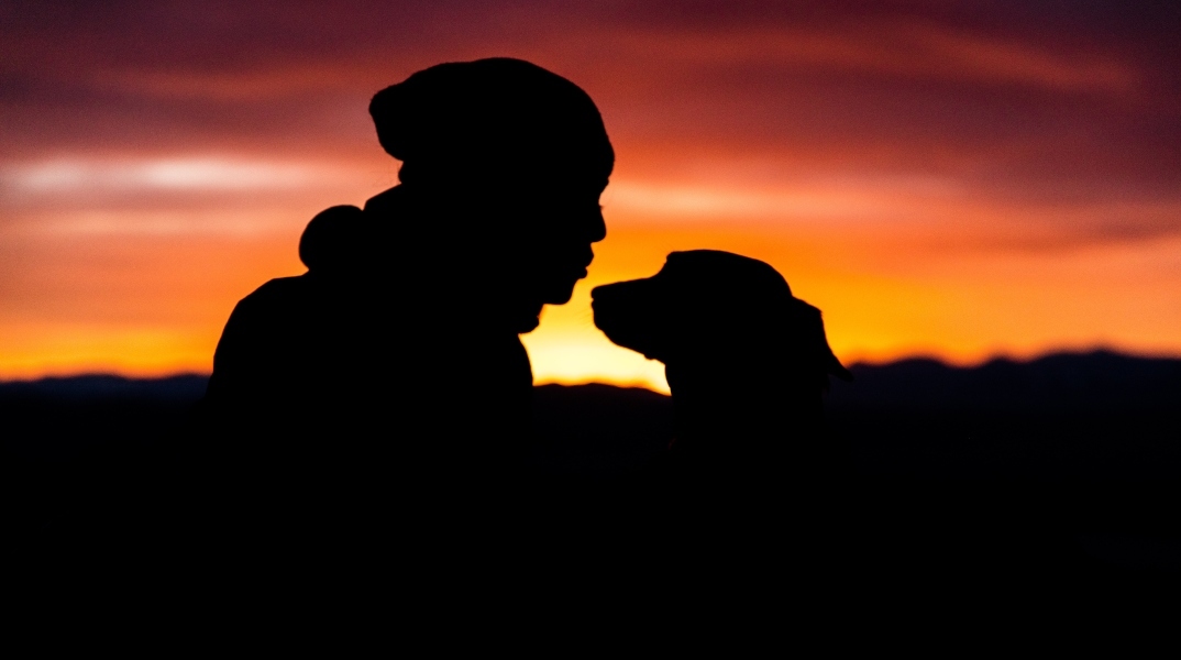 Οι πετυχημένες δοκιμές του φαρμάκου LOY-001 που αυξάνει τη διάρκεια ζωής στους σκύλους - Η βιοτεχνολογική εταιρεία Loyal έλαβε έγκριση από την FDA