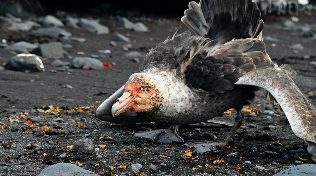 Κλιματική αλλαγή