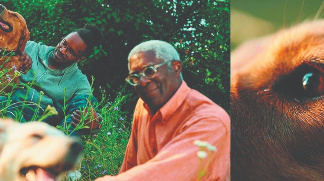 Boehringer Ingelheim