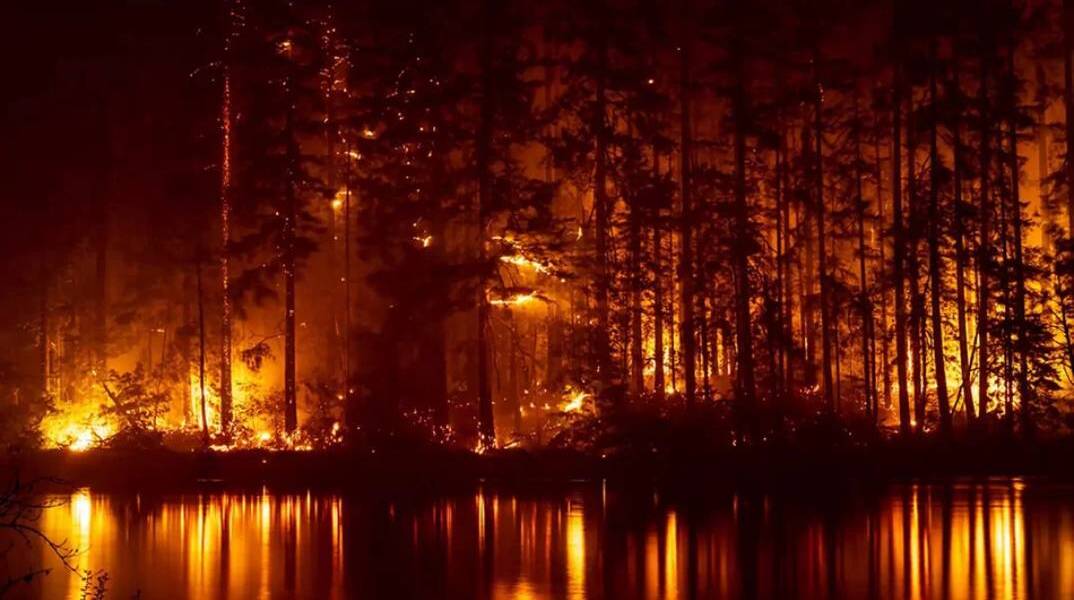 Περισσότερα από 800.000 στρέμματα καταστράφηκαν στον Έβρο σε μια πολυήμερη πυρκαγιά που αφάνισε το δάσος της Δαδιάς (ΦΩΤΟ: © Σάκης Γιούμπασης)