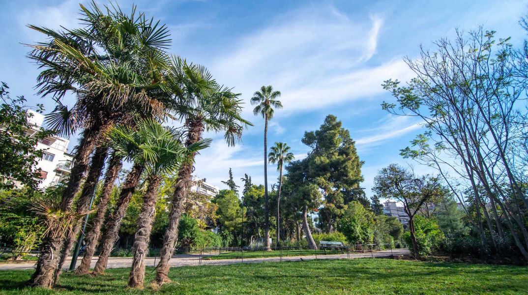 Δήμος Αθηναίων: Ολοκληρώθηκε η ανάπλαση στο πάρκο Δρακόπουλου - Παραδίδεται στη γειτονιά αναβαθμισμένο, ασφαλές και φωτεινό.