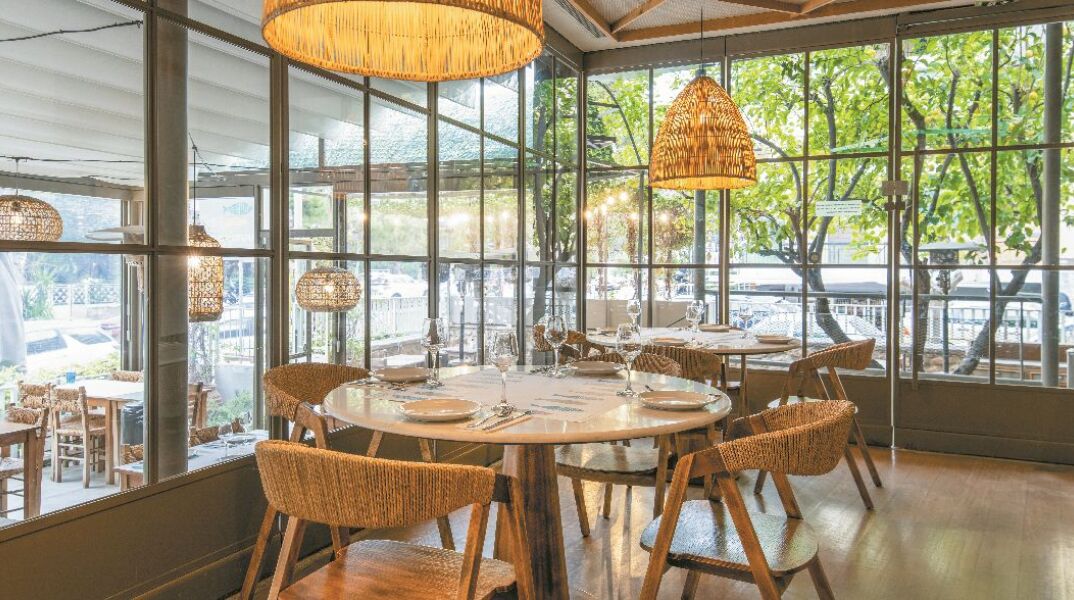 Μπαρμπουνάκι δια χειρός Παπαϊωάννου