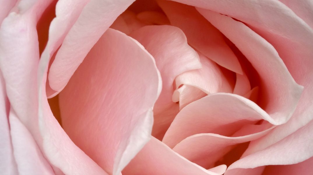 Ποιοι γιορτάζουν σήμερα 18 Δεκεμβρίου; Το εορτολόγιο της Athens Voice σου τους θυμίζει. Μην ξεχάσεις να τους δώσεις τις καλύτερες ευχές σου!