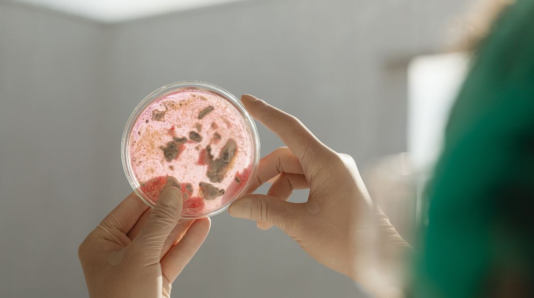 Ανασκόπηση Nature: Δέκα άνθρωποι που βοήθησαν στη διαμόρφωση της επιστήμης το 2023 - Ανάμεσά τους μια Ελληνίδα - Οι πρωτοποριακές ανακαλύψεις της χρονιάς.