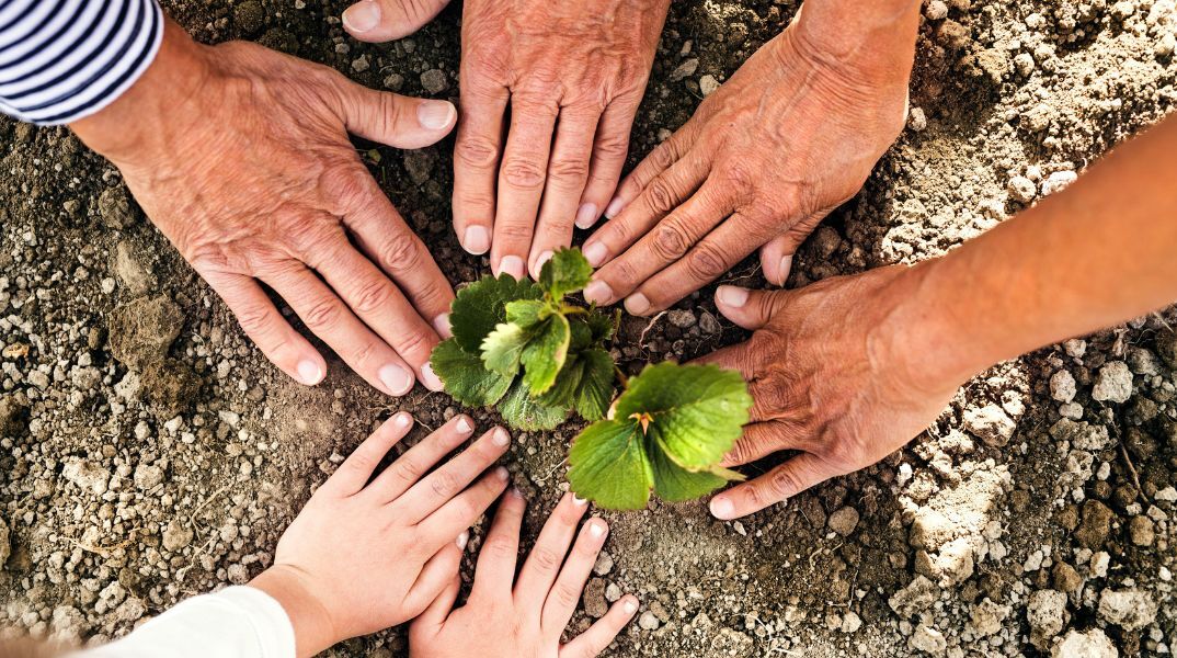 Πράσινοι: Πραγματοποιήθηκε το 3o Τακτικό Συνέδριο - Τα κείμενα που εγκρίθηκαν - Οι χαιρετισμοί των κομμάτων.