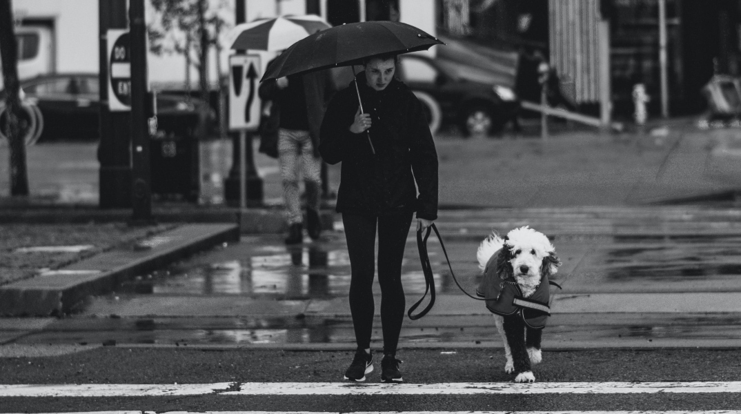 Γιατί ο σκύλος μας φοβάται τις καταιγίδες;