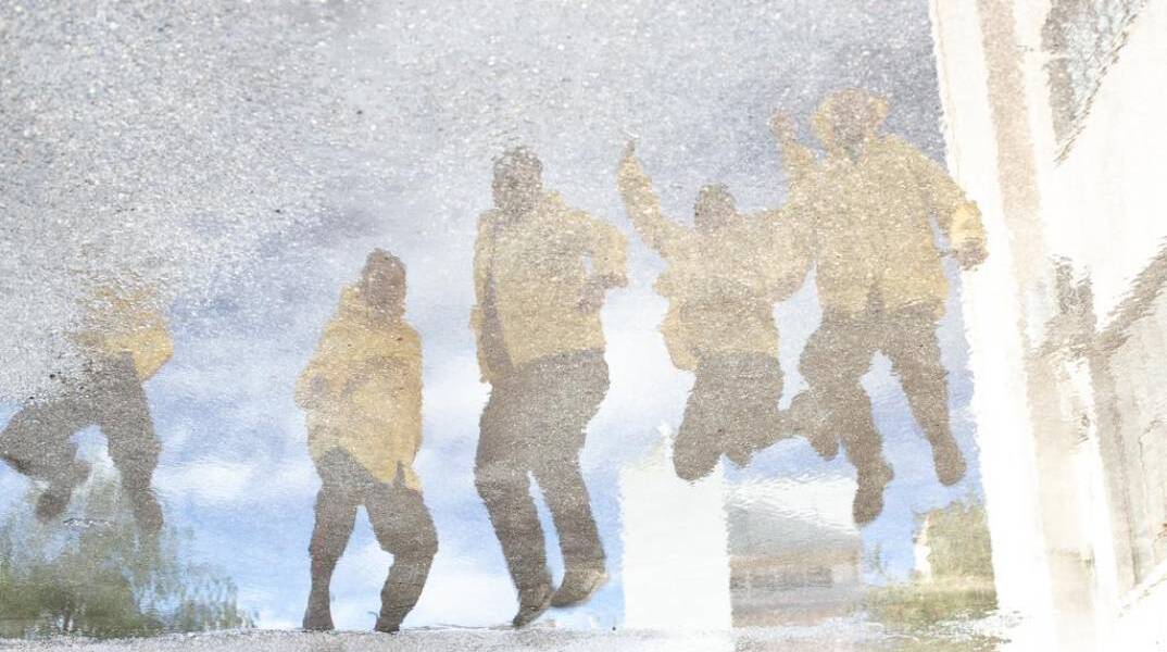 «Η ερωτική ζωή των ζώων» στο ΠΛΥΦΑ