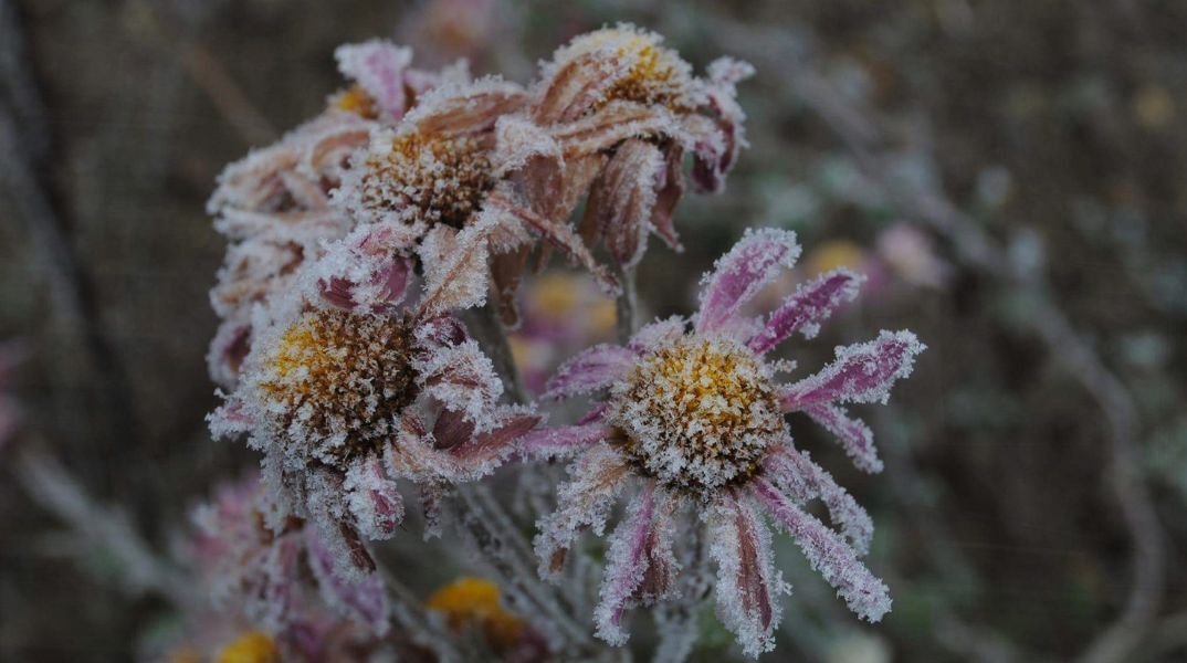 Ποιοι γιορτάζουν σήμερα 10 Ιανουαρίου;