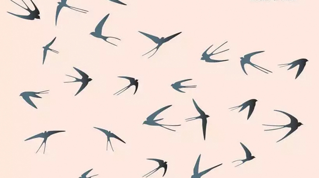 «Απειρόγωνο» του Κόλουμ ΜακΚαν, εκδ. Καστανιώτη