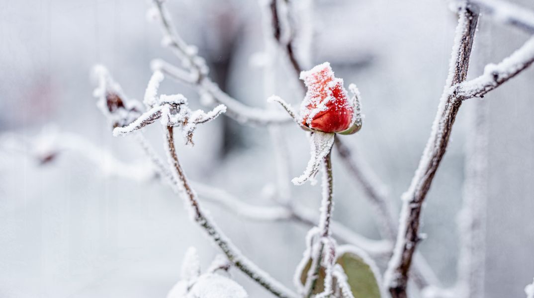 Εορτολόγιο: Σήμερα, 13 Ιανουαρίου, γιορτάζει…