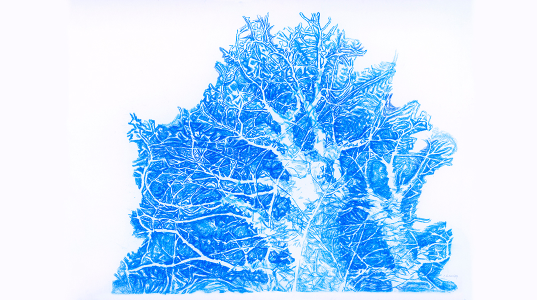 Έλλη Κουτσουκέλλη: «Όνειρο στα δέντρα» στην αίθουσα τέχνης «έκφραση - Γιάννα Γραμματοπούλου»