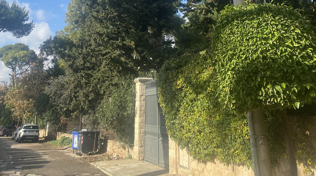 Σε βλέπω μέσα στα δέντρα