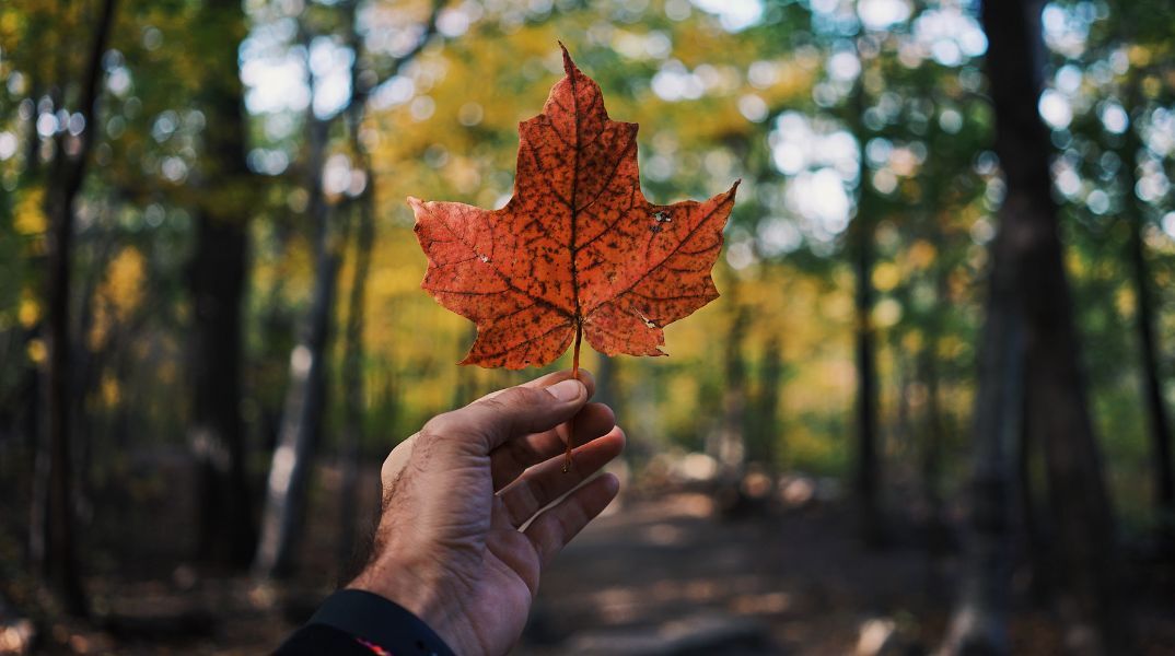 Ο Καναδάς είναι η πιο ασφαλής χώρα για ταξίδια το 2024, σύμφωνα με τη λίστα της BHTP - Οι παράγοντες αξιολόγησης - Οι 15 προορισμοί που βρίσκονται στην κορυφή.