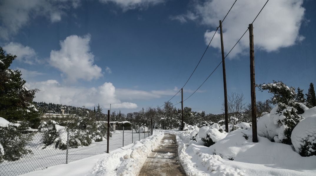 Τσατραφυλλιάς: Πού θα πέσουν χιόνια το Σαββατοκύριακο
