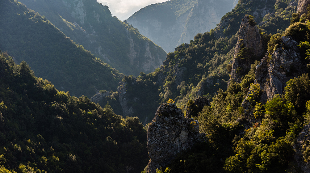 Βλάστηση στο φαράγγι του Ενιπέα