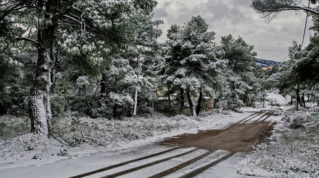 Σημάδια από ρόδες αυτοκινήτου σε χιονισμένο τοπίο