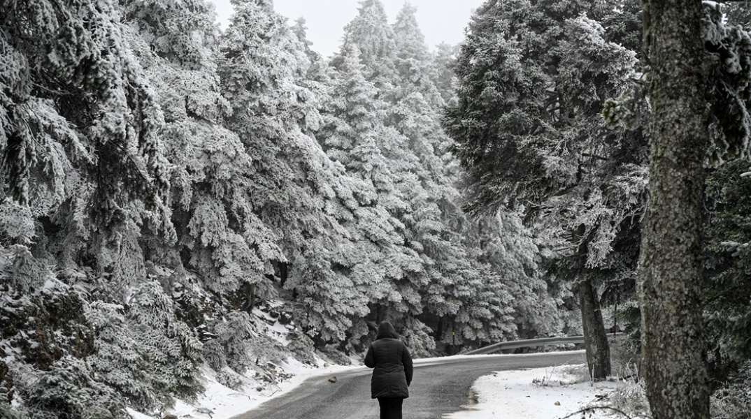 Άτομο με χοντρά ρούχα και κουκούλα περπατά στο χιονισμένο τοπίο