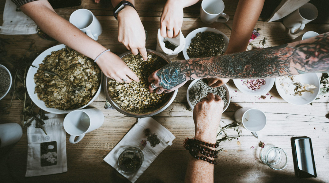 12 Βότανα & Φυτά που θεραπεύουν σώμα & πνεύμα