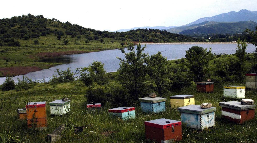 Βουλή: Χορηγήθηκαν 1.200 κυψέλες στην Ομοσπονδία Μελισσοκομικών Συλλόγων Ελλάδος - Συνδράμει στο έργο ανάταξης των πληγών του αγροτικού κόσμου.