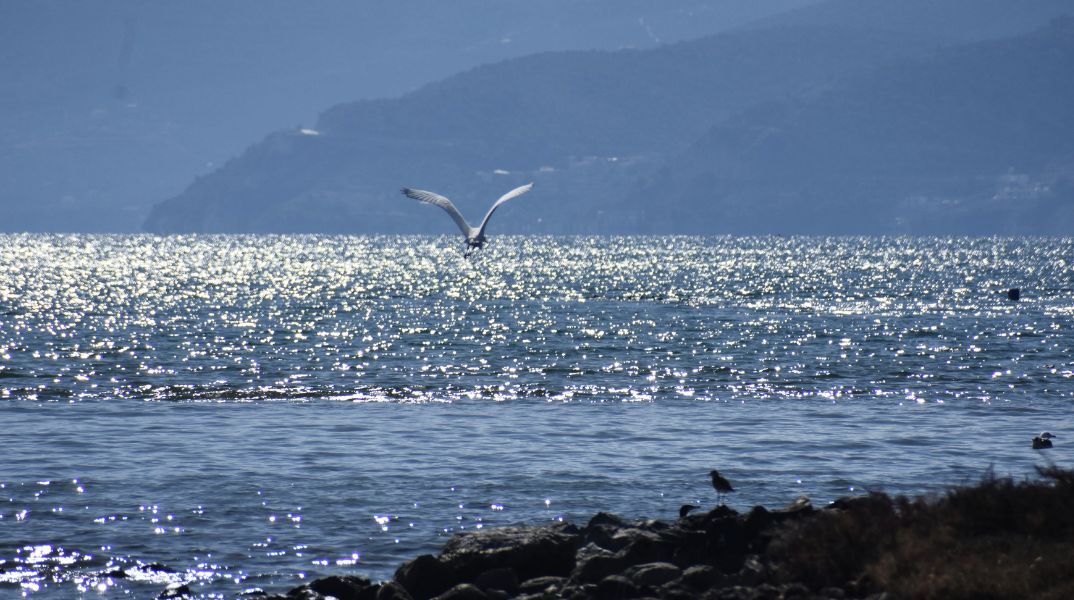 Καιρός: Αίθριος την Κυριακή 4 Φεβρουαρίου - Έως 17 βαθμούς Κελσίου η θερμοκρασία - Αναλυτική πρόγνωση από το meteo και την ΕΜΥ.