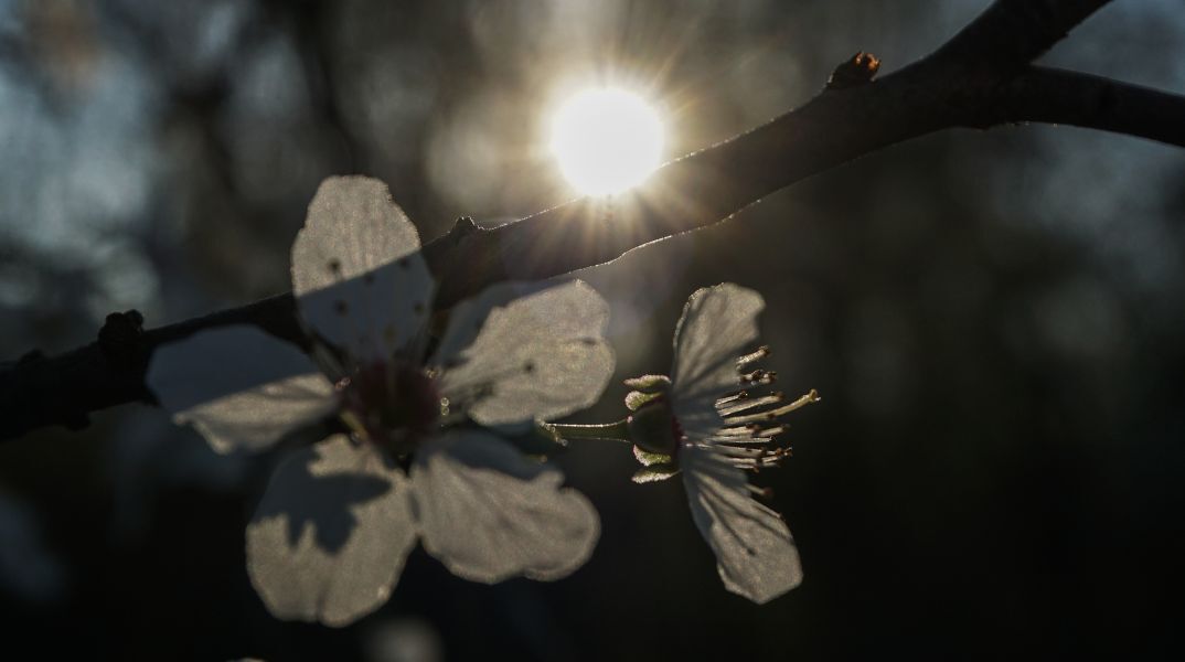 Καιρός: Αίθριος σε όλη τη χώρα τη Δευτέρα 5 Φεβρουαρίου - Έως 20 βαθμούς Κελσίου το θερμόμετρο - Η πρόγνωση του meteo και της ΕΜΥ.