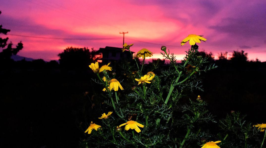 Καιρός: Αίθριος σε όλη τη χώρα τη Δευτέρα 5 Φεβρουαρίου - Έως 20 βαθμούς Κελσίου το θερμόμετρο - Αναλυτική πρόγνωση για όλη την Ελλάδα. 