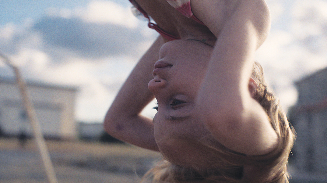 «Animal» της Σοφίας Εξάρχου