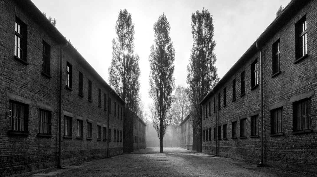 Η έκθεση «Tehom» της Renée Revah στο Μουσείο Μπενάκη