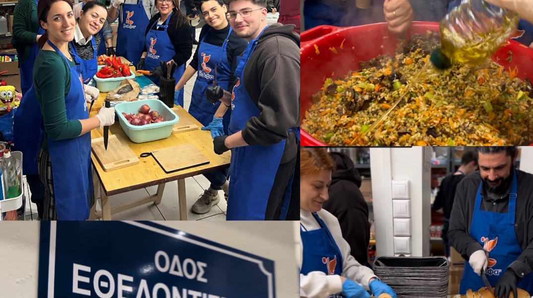 2024_02_08_3alfa_humanity_1