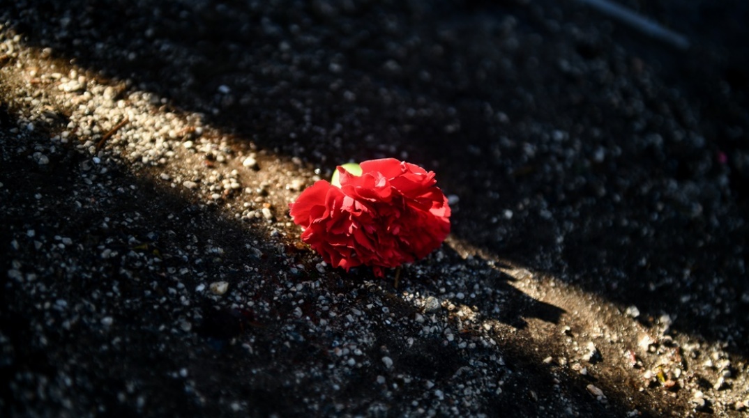 Γαρύφαλλο για την Εργατική Πρωτομαγιά