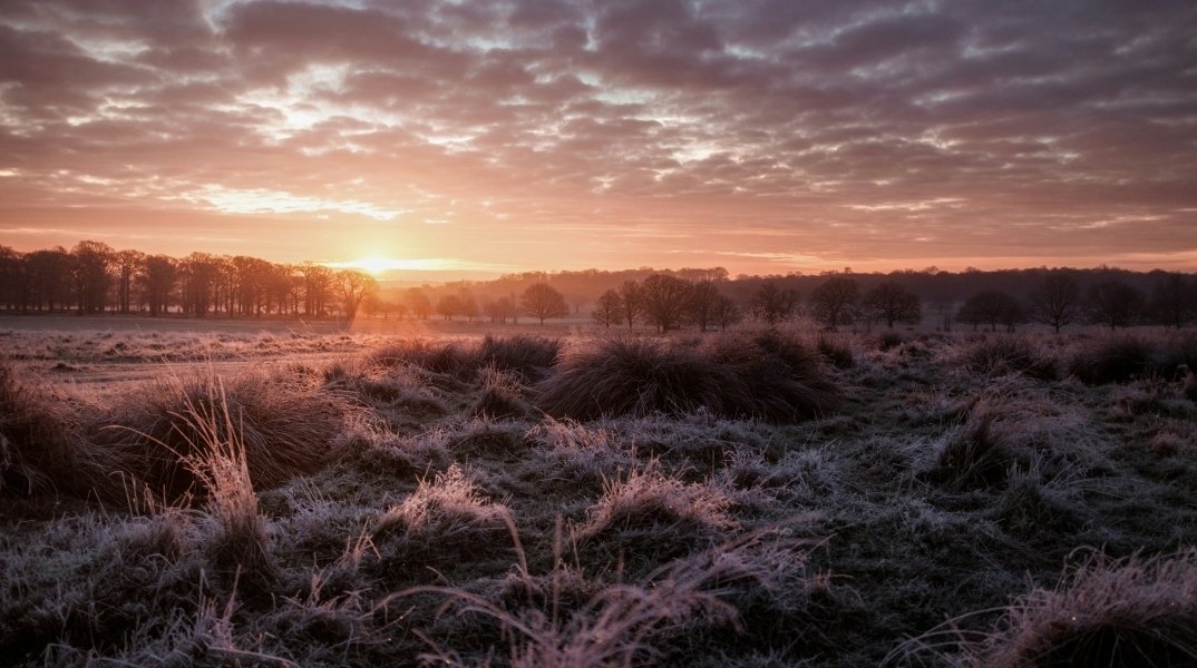 Ο φετινός Φεβρουάριος ίσως είναι ο πιο ζεστός που έχει καταγραφεί ποτέ