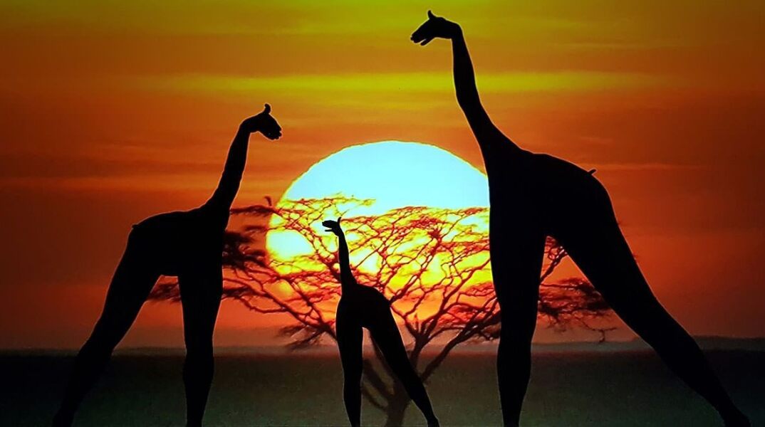 Οι Moving Shadows στον «Ελληνικό Κόσμο»