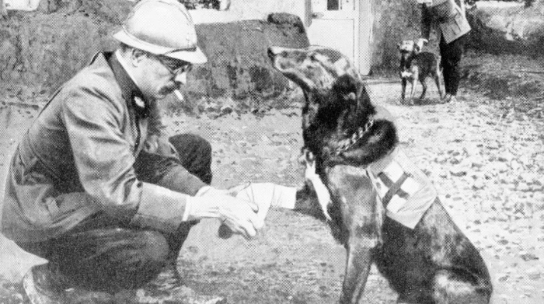 Πώς ξεκίνησε η διάσωση των ανθρώπων από τους σκύλους;