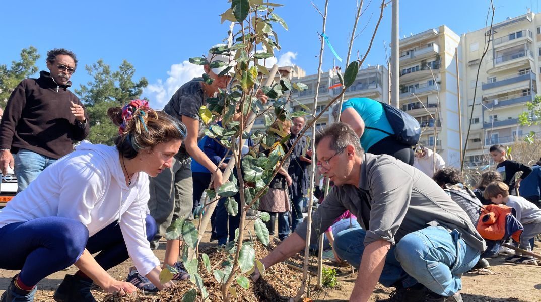 Θεσσαλονίκη: «Γεννήθηκε» το πρώτο βρώσιμο δάσος με τη φύτευση 700 δέντρων και φυτών - Νέος τόπος πρασίνου στη Νεάπολη Συκεών.