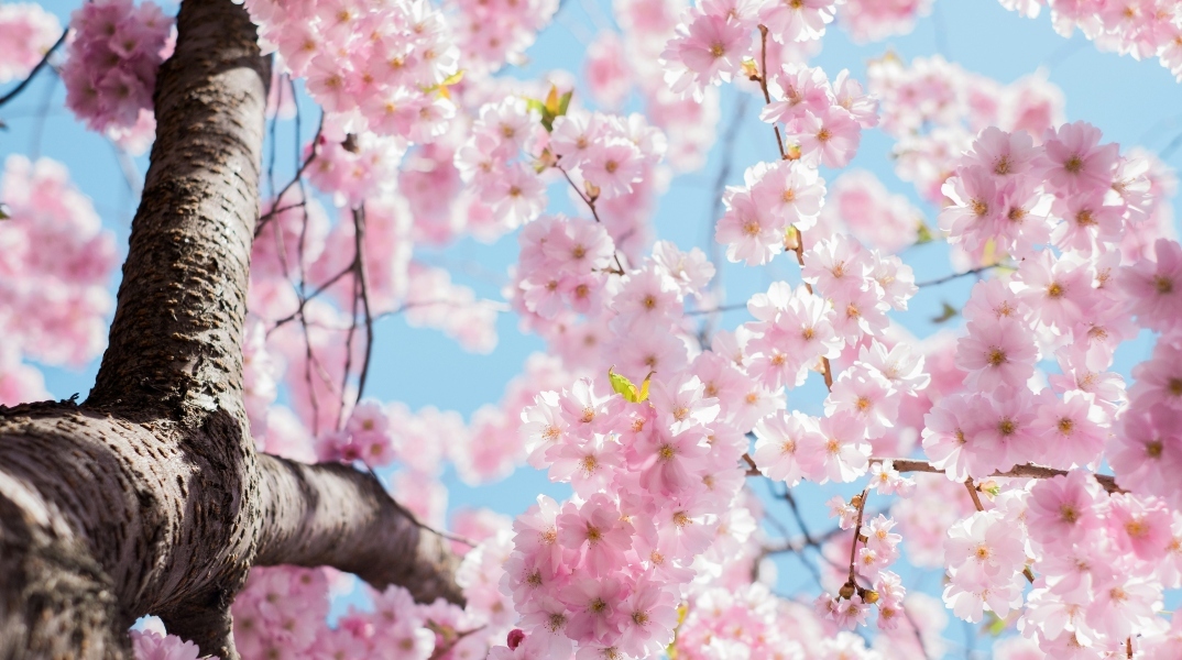 Ποιοι γιορτάζουν σήμερα 6 Μαρτίου;