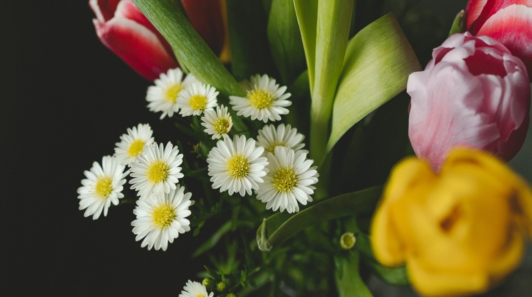 Εορτολόγιο: Σήμερα, 7 Μαρτίου 2024 γιορτάζει…