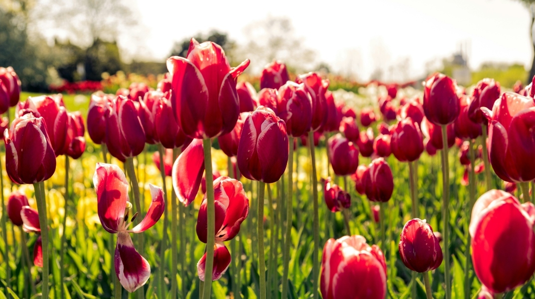 Εορτολόγιο: Σήμερα, 8 Μαρτίου, γιορτάζει…