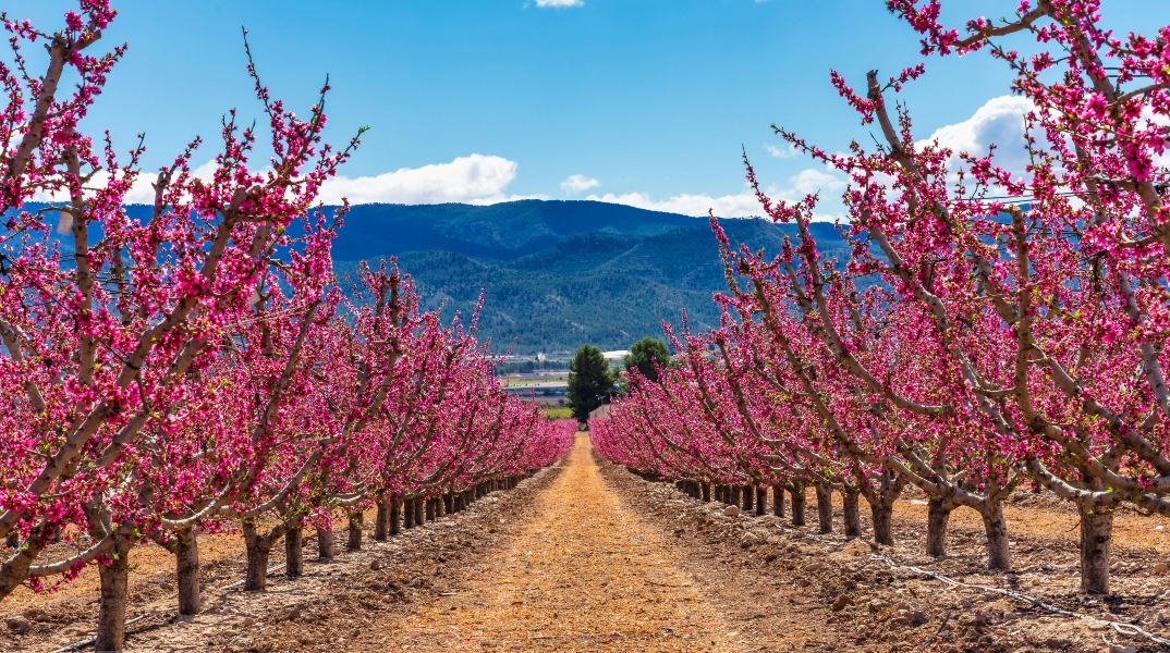 Καιρός σήμερα: Αίθριος με λίγα σύννεφα το Σάββατο