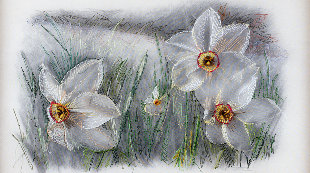 Κωνσταντίνα Συλίκου: «Διάφανοι κήποι» στην genesis gallery